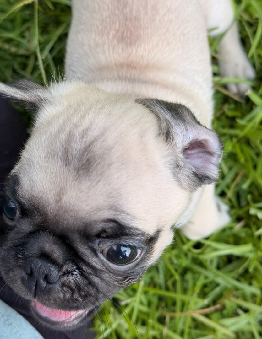Otis photo 8